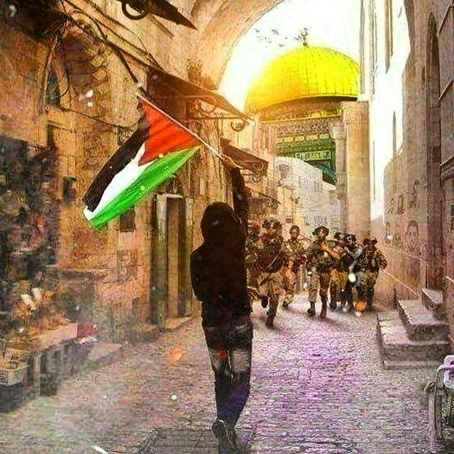 𓂆 Palestine Archive 🇵🇸