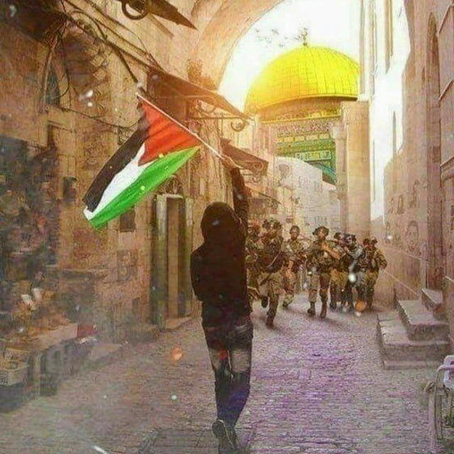 𓂆 Palestine Archive 🇵🇸