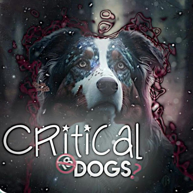 Critical.dogs🥵