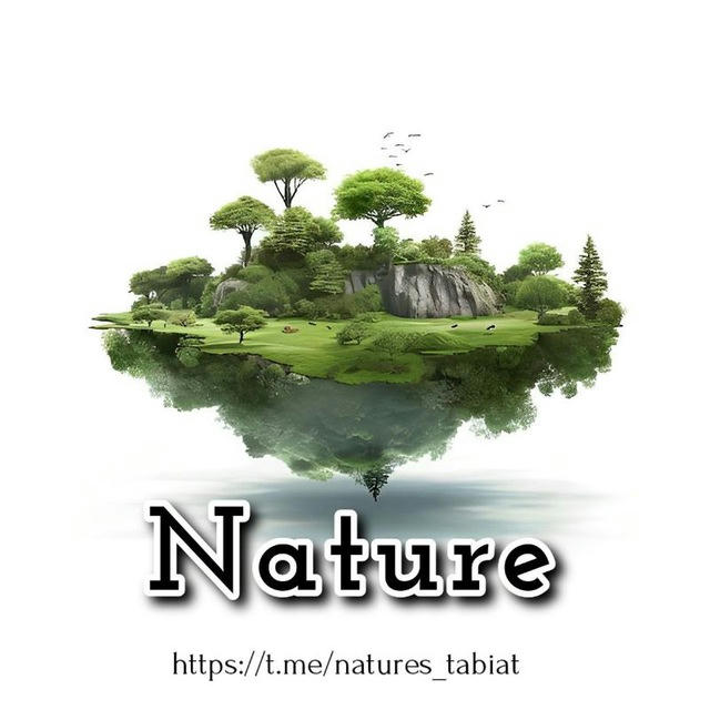 Nature (tabiat)🌿