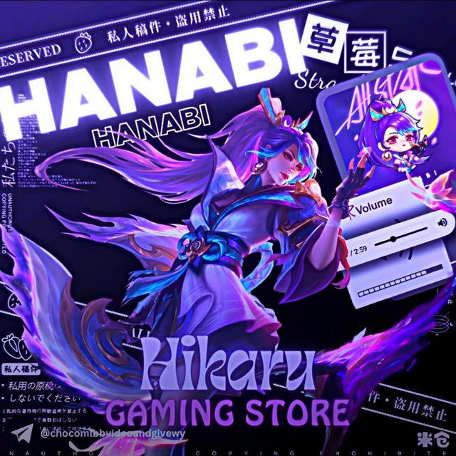 Hikaru Gaming Store