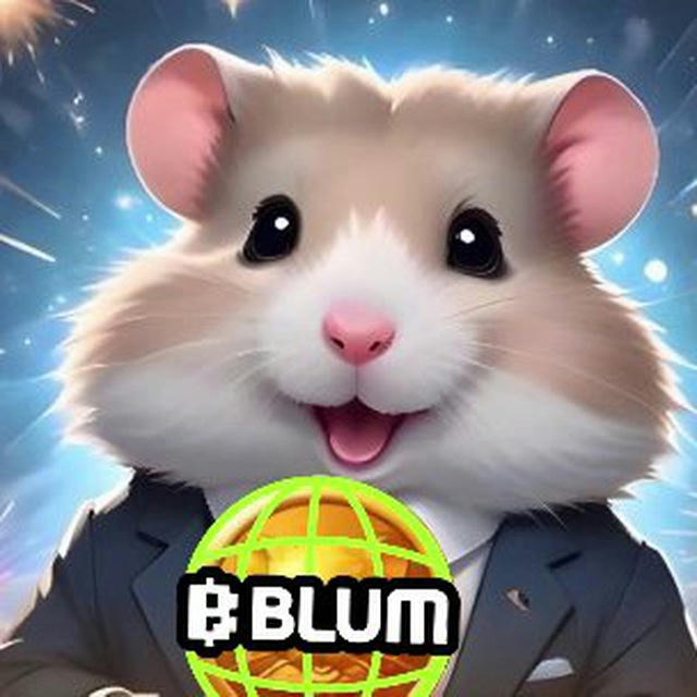 Hamster Kombat • Blum • Комбо карты