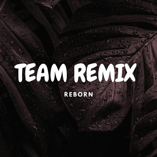 TeamRemix Reborn Channel