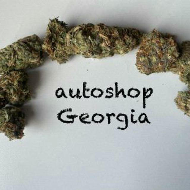 autoshopge.org channel