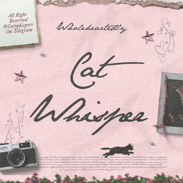 𐙚 “사자 : Cat Whisper.” OPEN