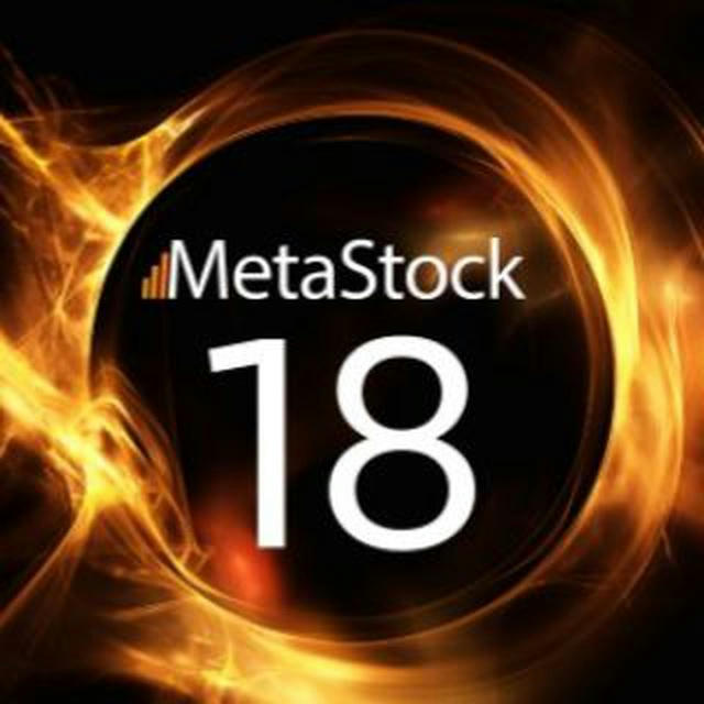 MetaStock: IT & Нейросети