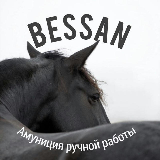 BESSAN премиум налобники