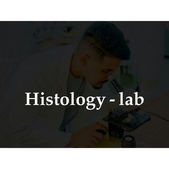 Histo - lab ( elwerfalli )