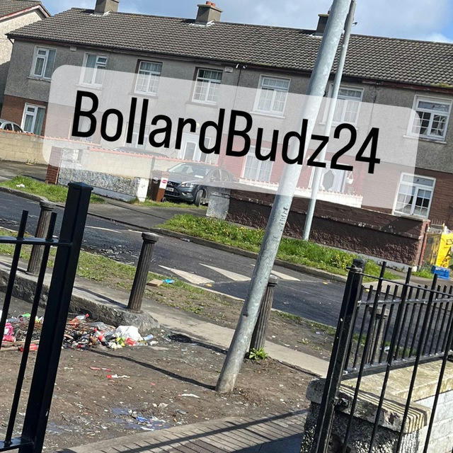 BollardBudz24