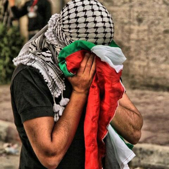فلسطين عاجل🔻