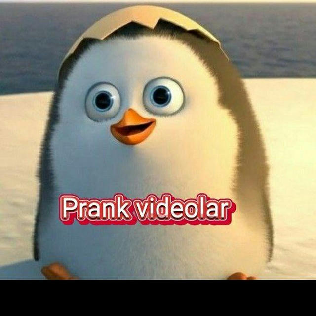 Prank videolar