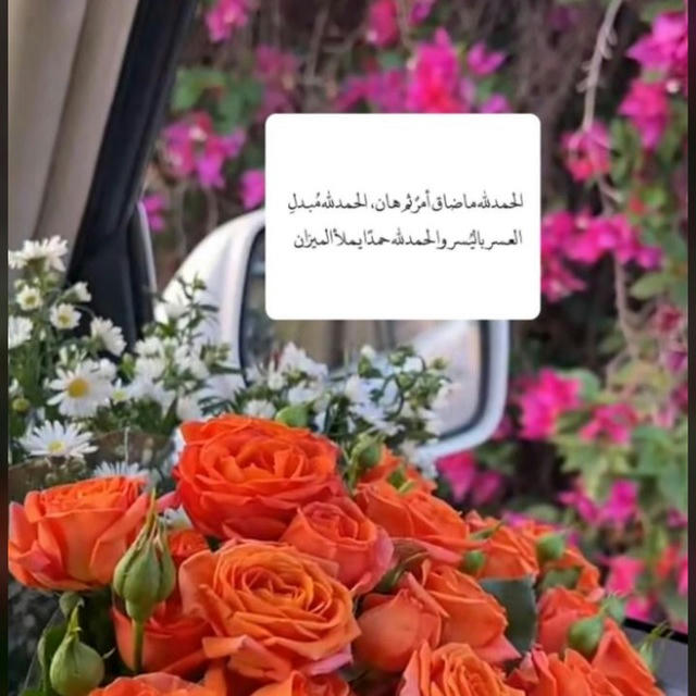 القران بلسم الـــروح|🌸🌧