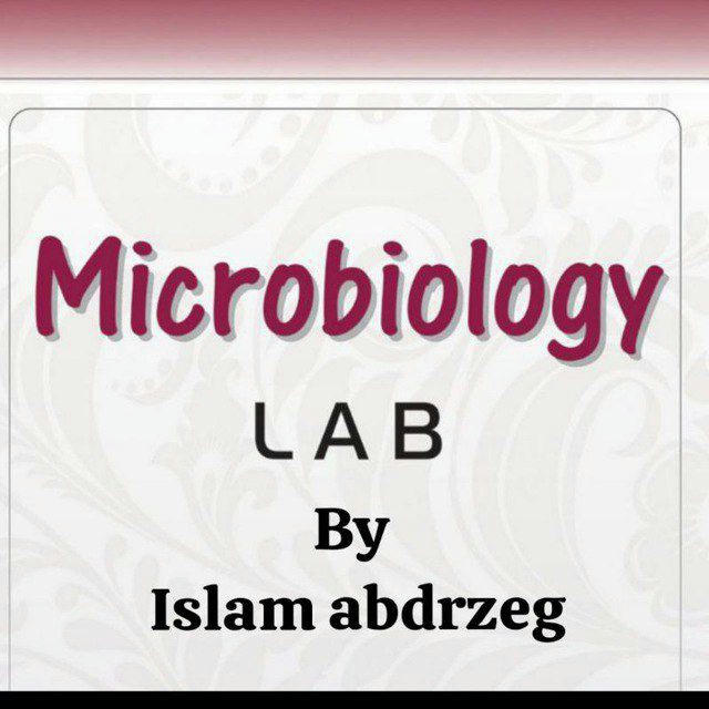 Microbiology Laboratory with Islam🔬