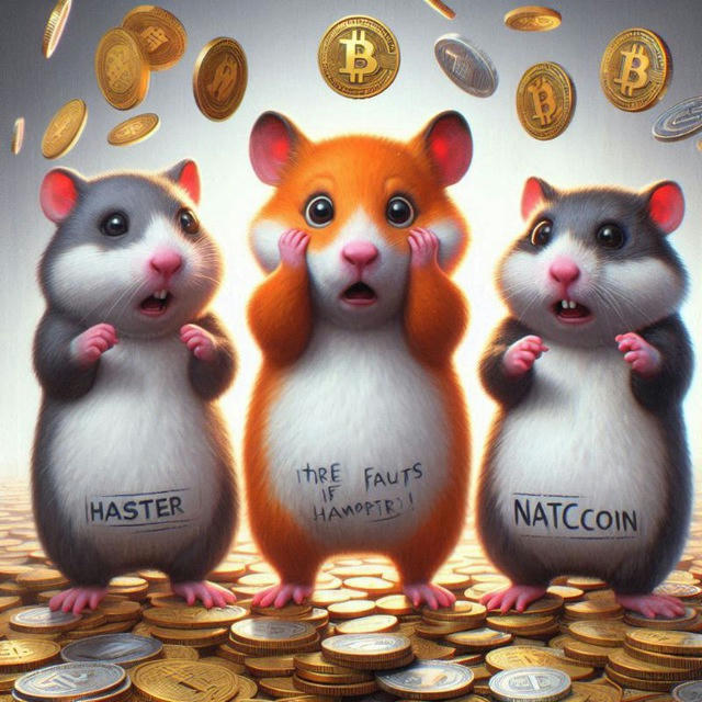 TapSwap | Hamster | NotCoin