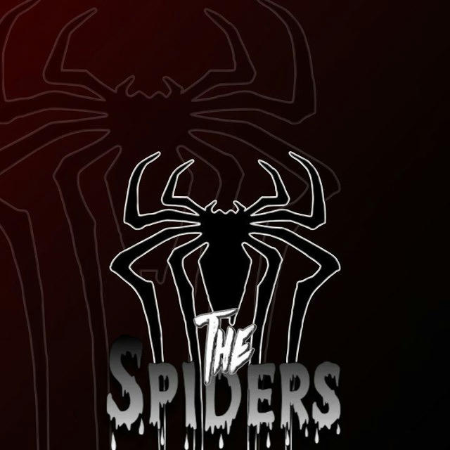 THE SPIDERS 1XBET🕷️