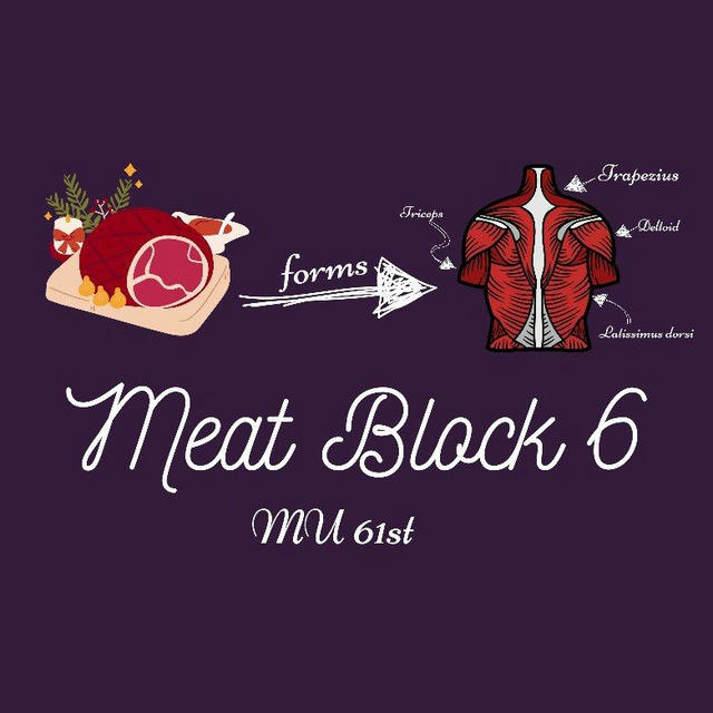 Meat 🥩 Block 6