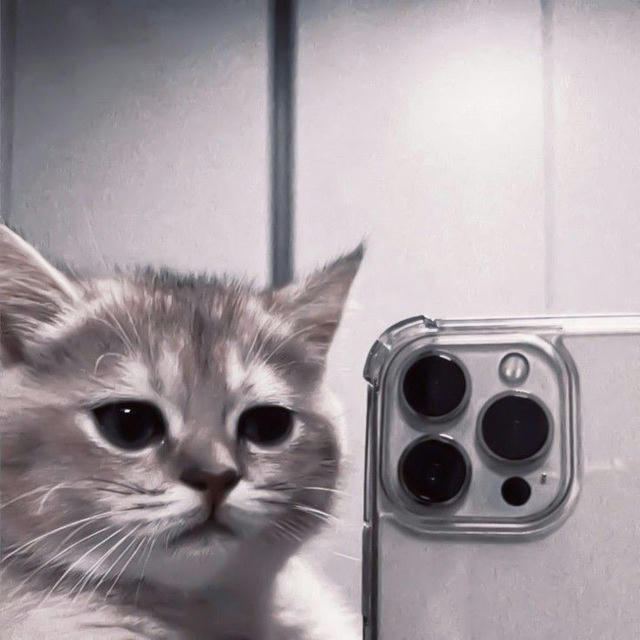 ᴘᴇʀɢᴀʙᴜᴛᴀɴ