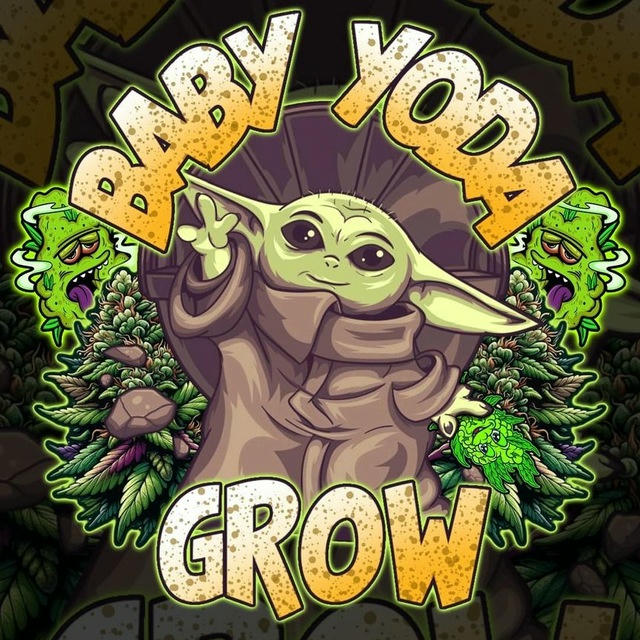 BABY YODA GROW