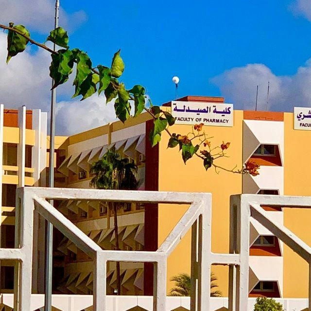 صيدلة 31 (خاصة بتسجيلات الجامعة وشيتات ) 💙