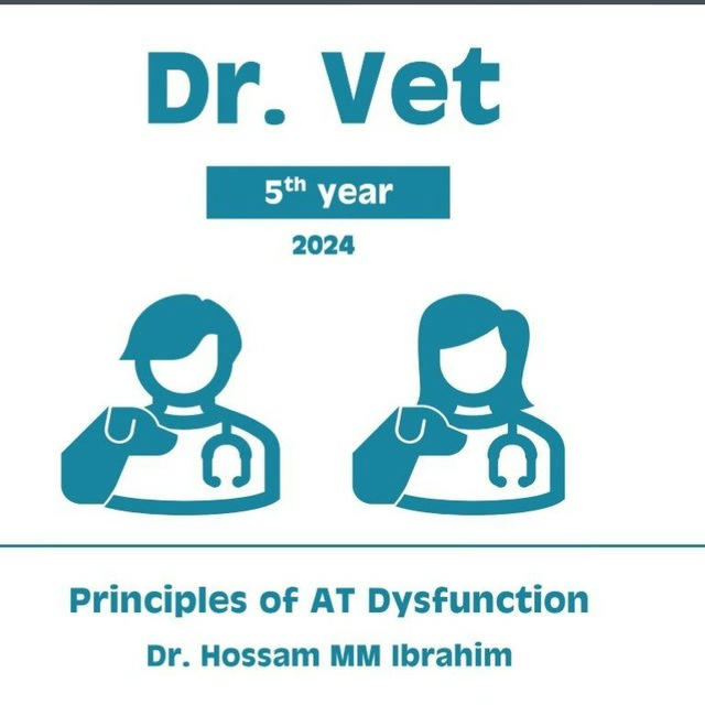Dr. Vet internal medicine "Seniors"