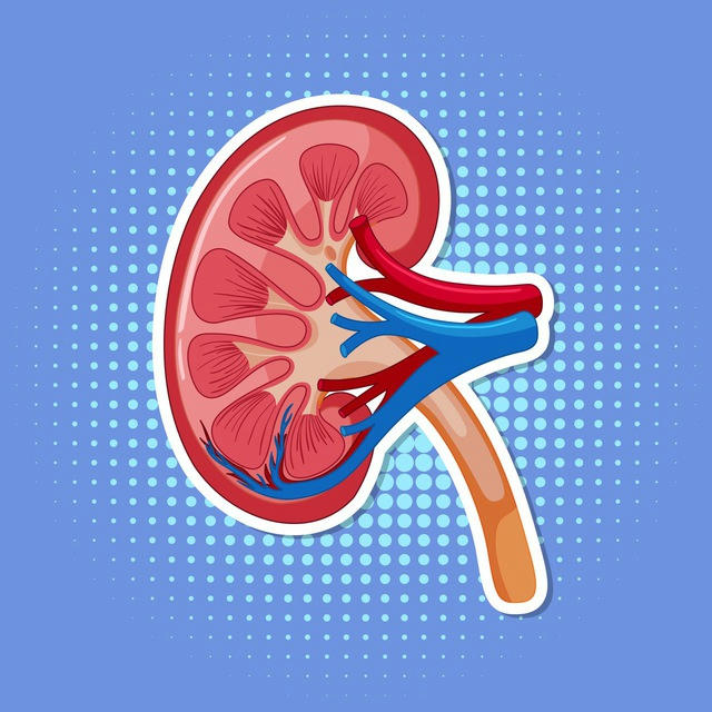 Renal Module | العملي