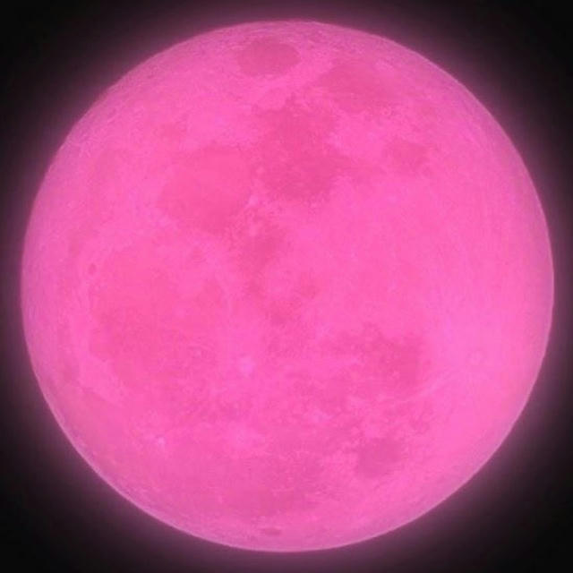 Розовая планета - женский дом🩷