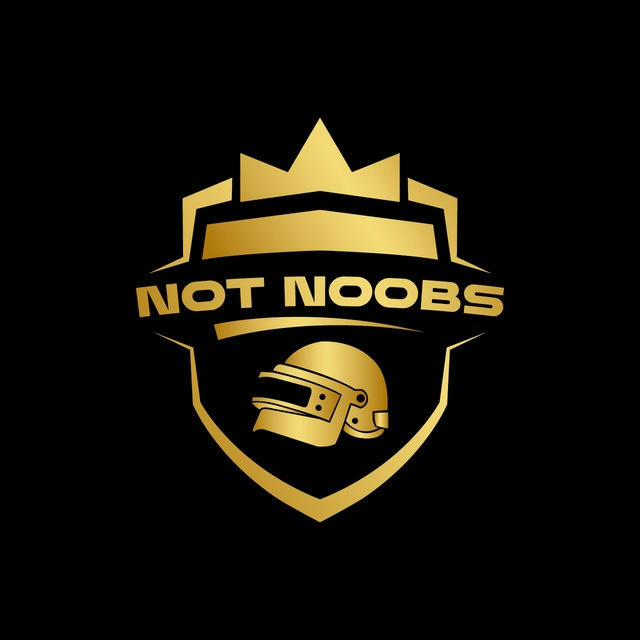 Not Noobs Esports