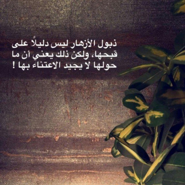 الزهرة الذابلة💔🥀