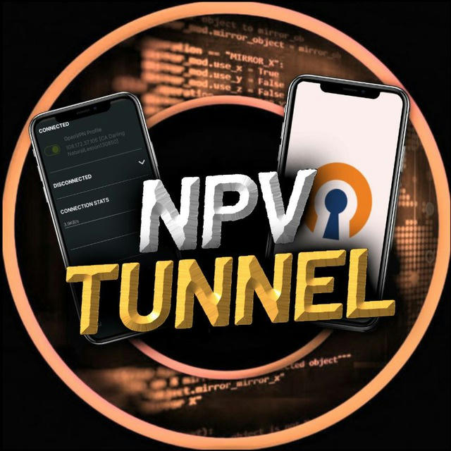 NPV TUNNEL V2RAY