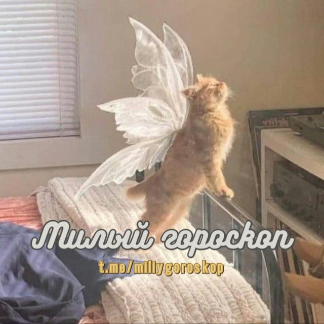 Милый гороскоп 🐈