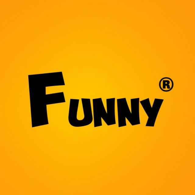 Funny Videos