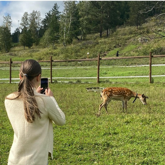 будни джульетты 🫶🏻🦌