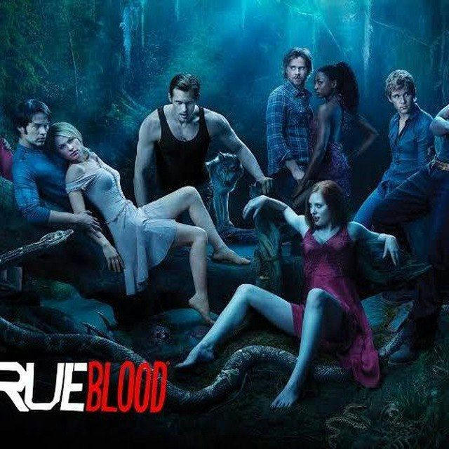 TRUE BLOOD SEASON 1 - 7