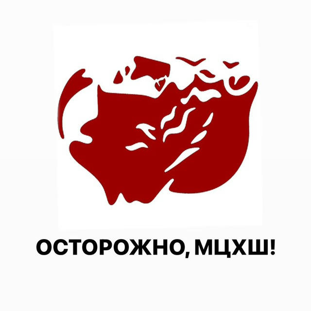 Осторожно, МЦХШ!