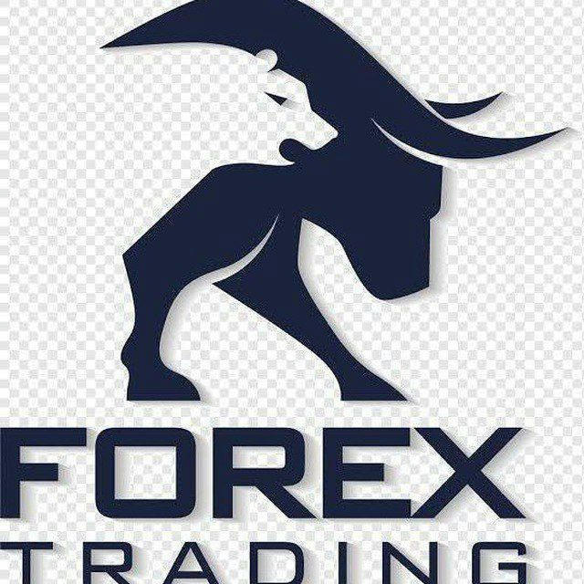 🥀FOREX TRADING🥀