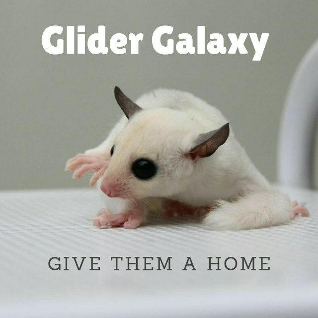 Glider Galaxy