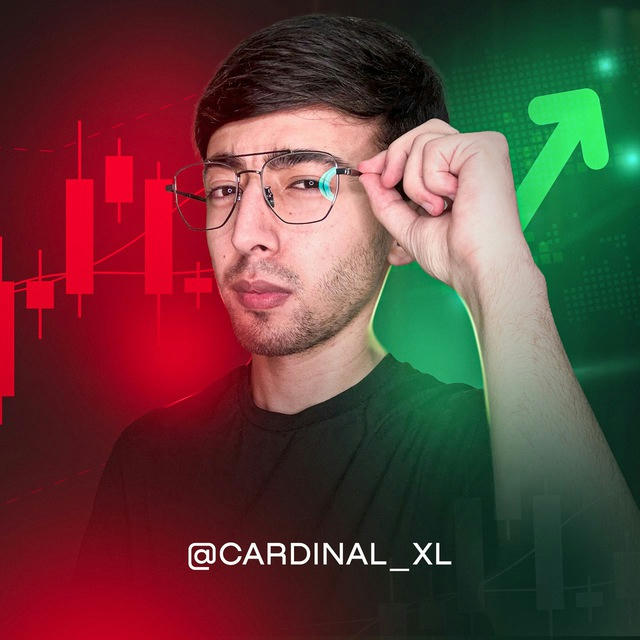 Cardinal XL 📊