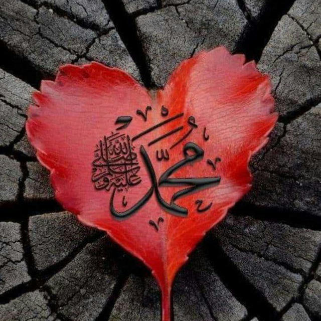 دمحمدﷺ عاشقان❤️