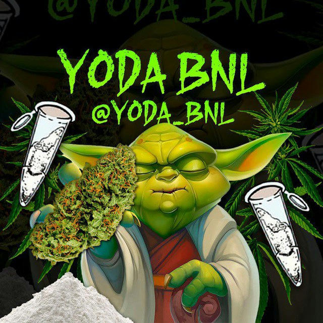 YODA SHOP CBD THC D9 D8 DISTILLATE OIL USA EU ASIA