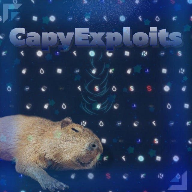 CapyExploits💤