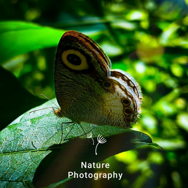 Mind blowing photography 📸🍃