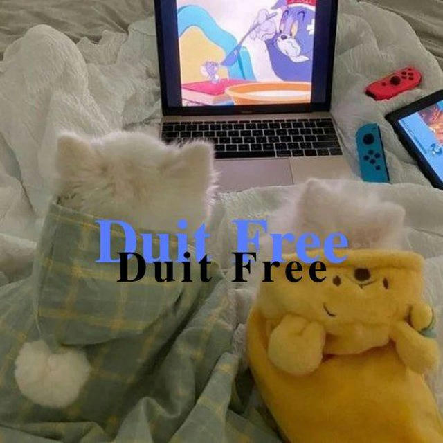 ᡣ𐭩 : Duit Free 💌 ⸝⸝