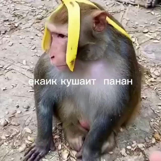 Нэду