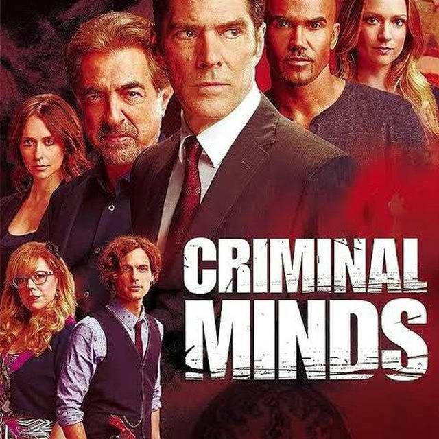 CRIMINAL MINDS SERIES