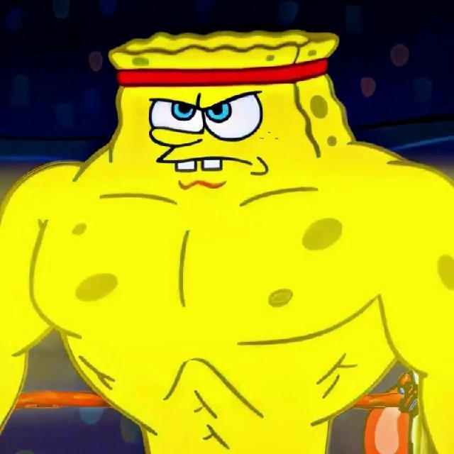 Sponge Motivation