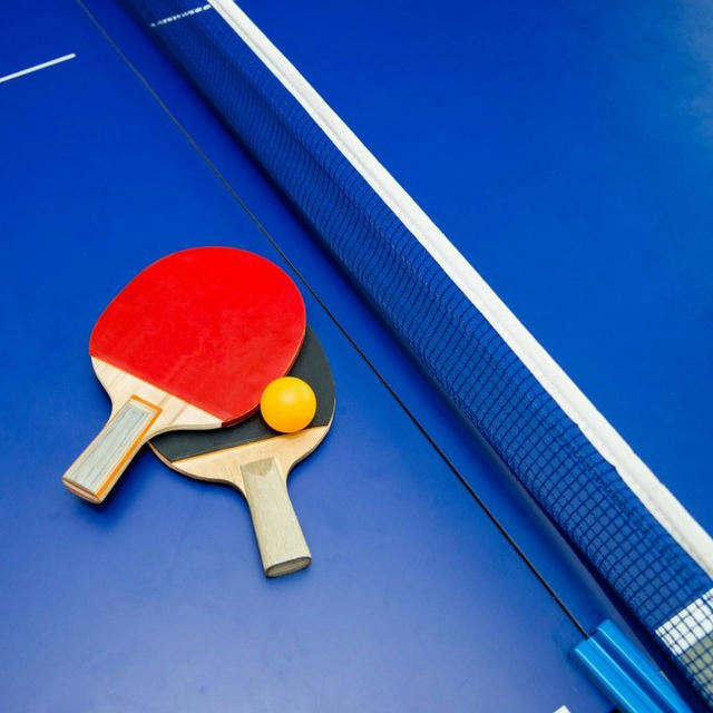 Table Tennis Veteran 🏓