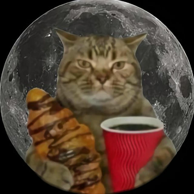 CATLIPSE