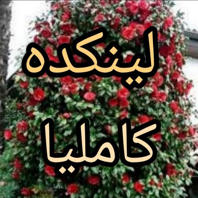 لینکده کاملیا