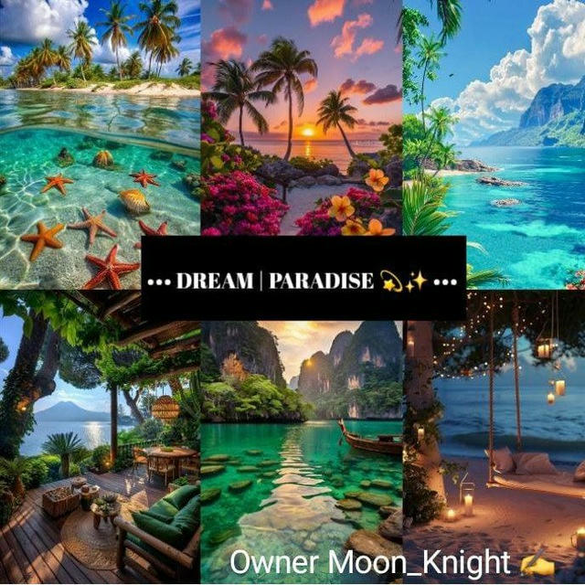 ••• DREAM | PARADISE ✨ •••