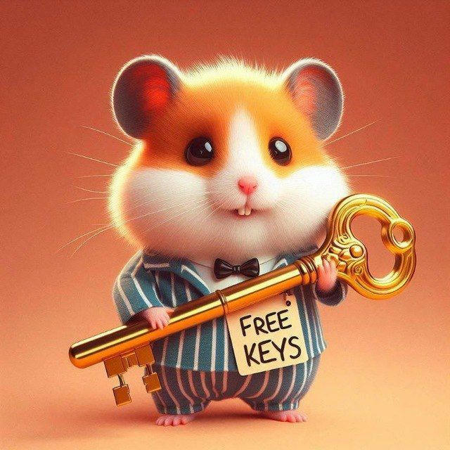 Hamster Kombat playground key code, combo and cipher